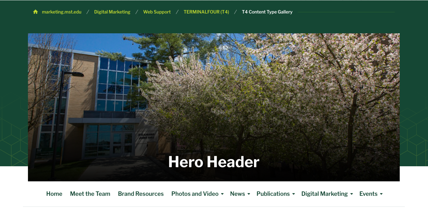 a screenshot of the hero header